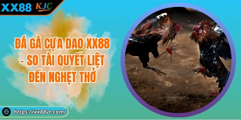 ĐÁ GÀ CỰA DAO